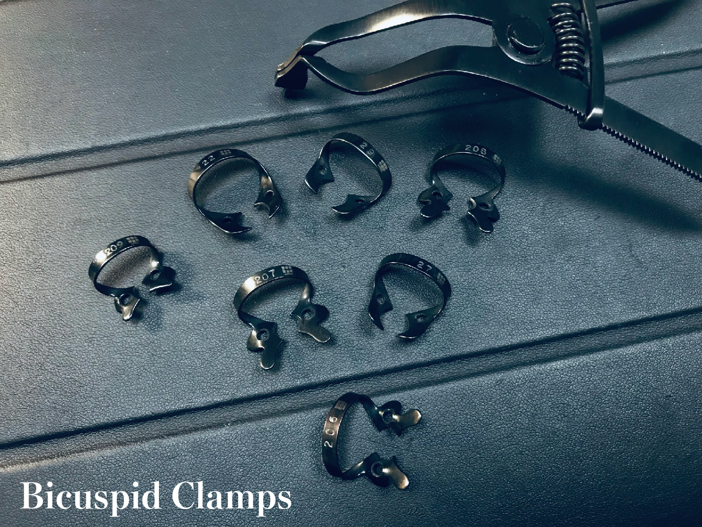 Bicuspid Clamps 形象_工作區域 1.jpg