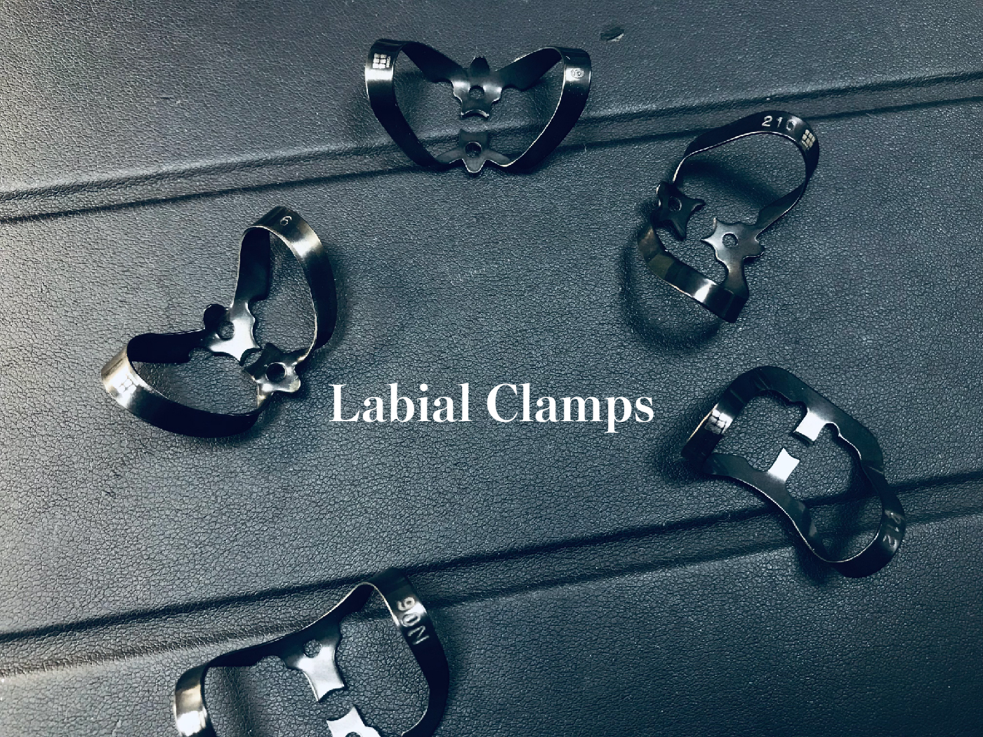 Labial Clamps 形象_工作區域 1.jpg