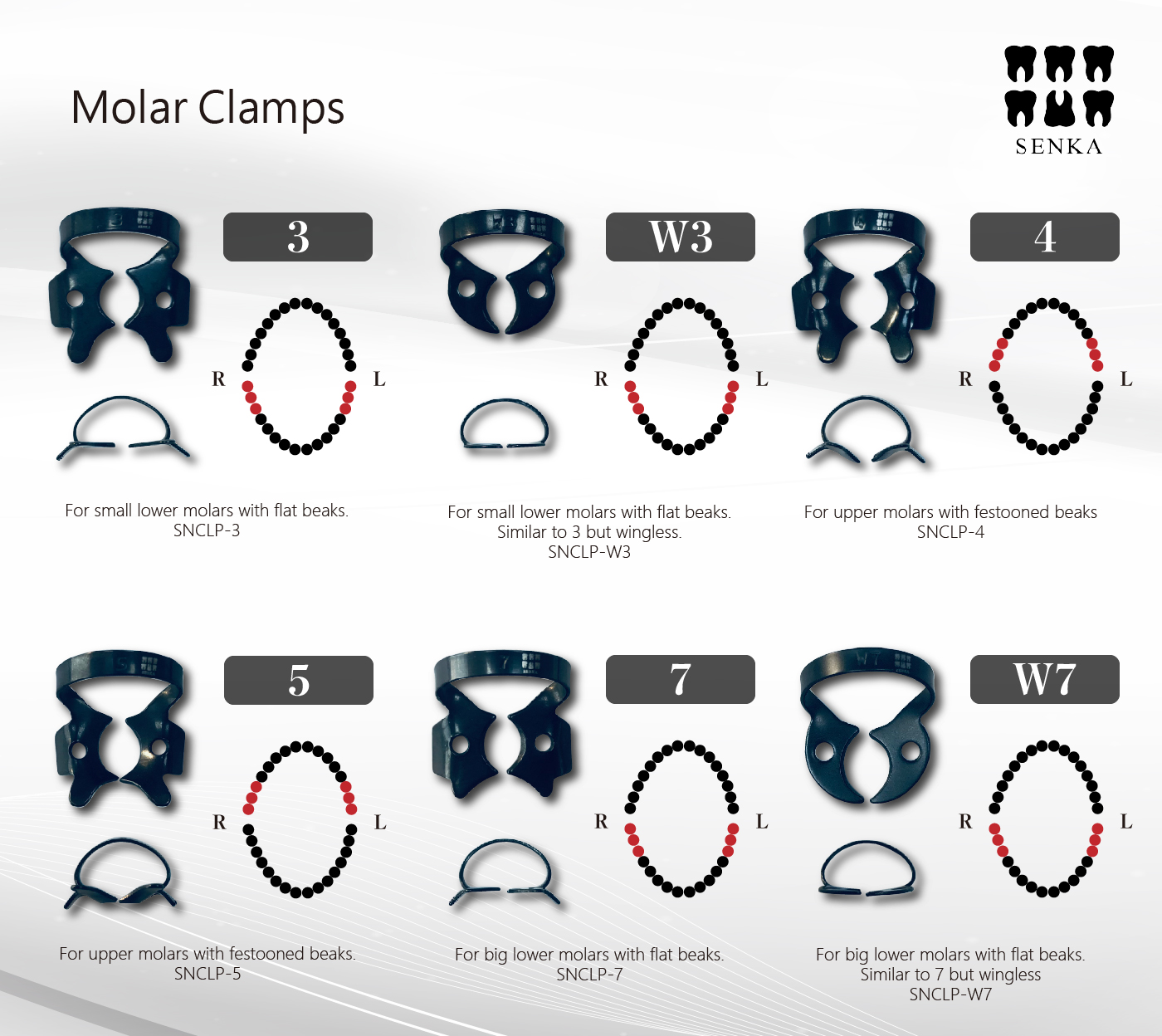 Molar Clamps 整頓1_工作區域 1.jpg