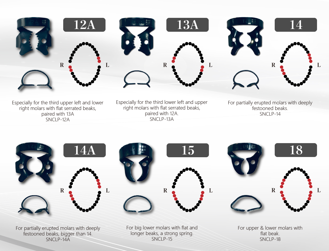 Molar Clamps 整頓3_工作區域 1.jpg