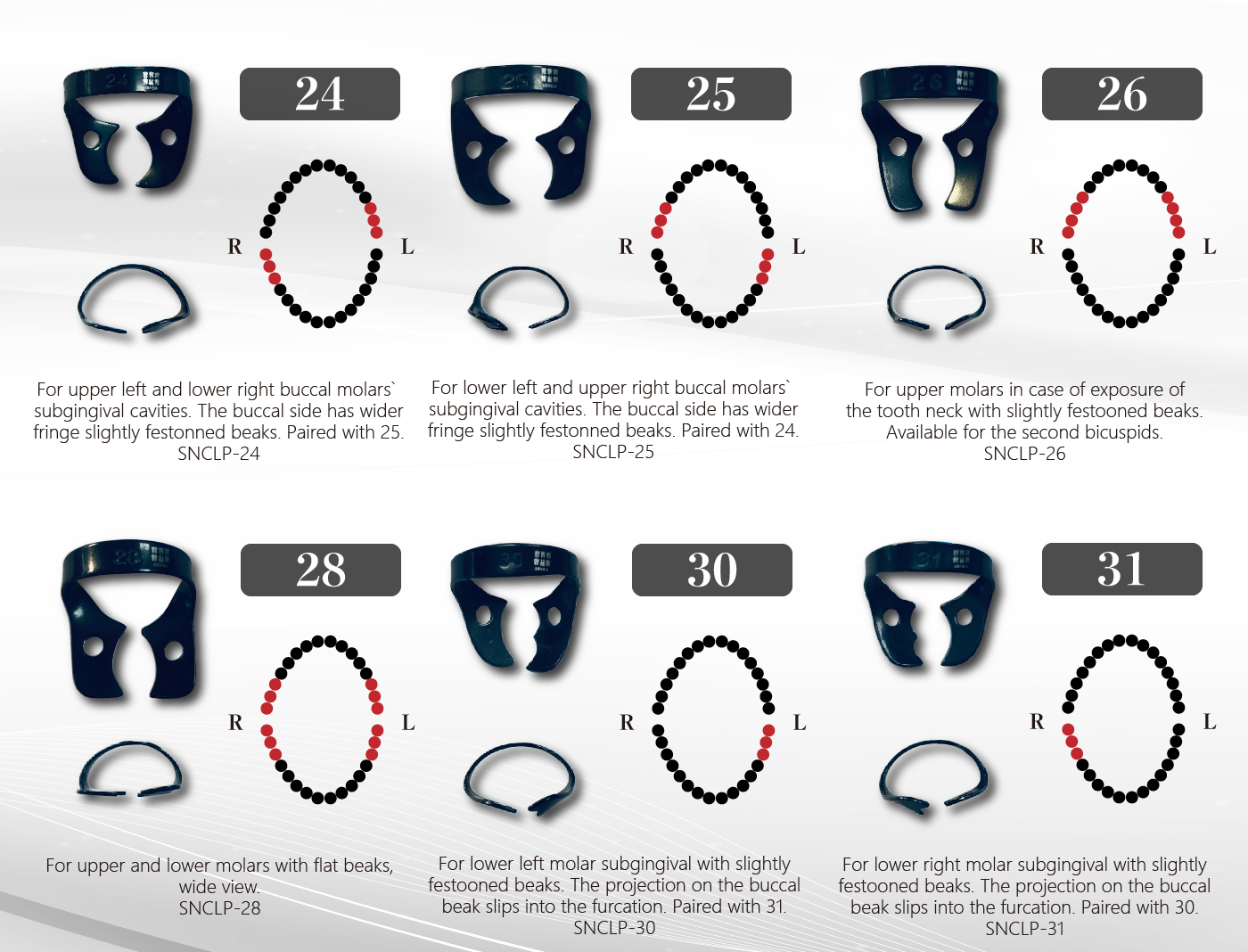 Molar Clamps 整頓4_工作區域 1.jpg