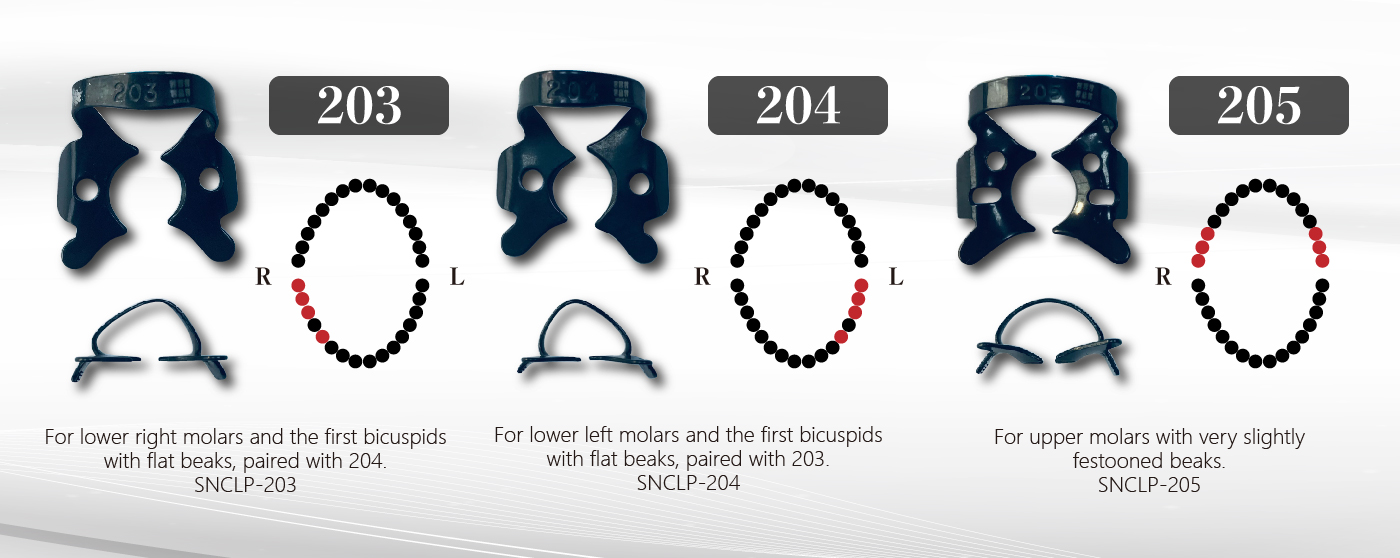 Molar Clamps 整頓6_工作區域 1.jpg