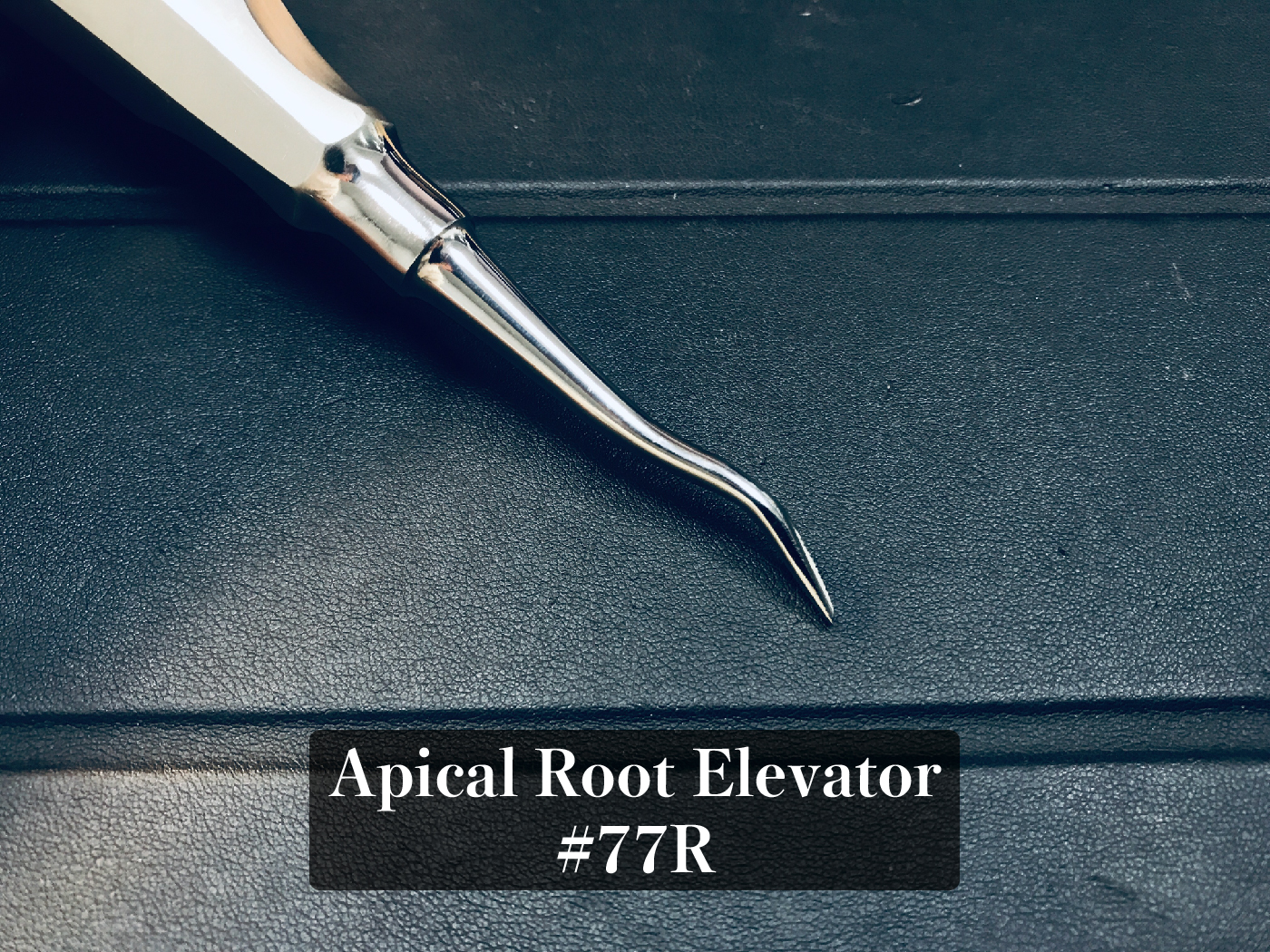 Apical root elevator content_工作區域 1.jpg