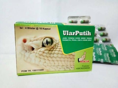 ULAR PUTIH Original Guarantee 100% Arthritis Gout Muscle Indonesian Herbs FREE Express Shipping