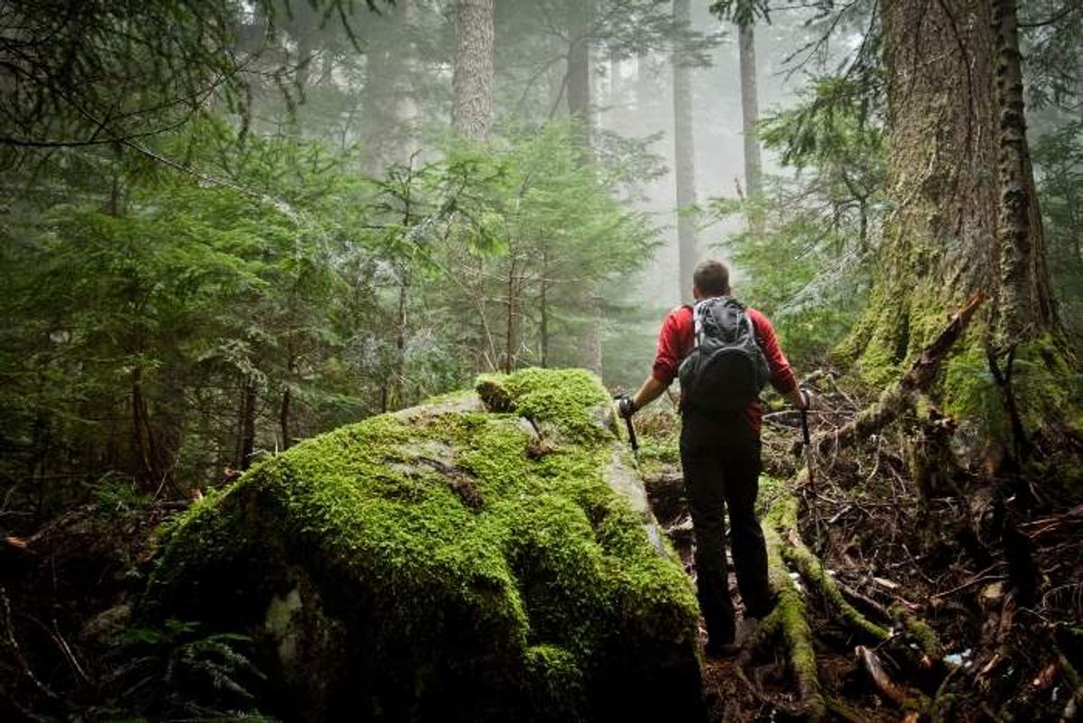 Hiking for Beginners: 10 Essential Tips