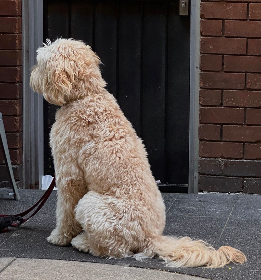 截圖 2024-12-13 下午9.49.11