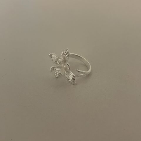 image_D8F2ED4D-6A35-4E47-8DAA-91616DE2E81C_1775099808