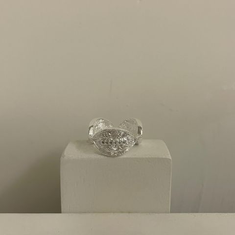 image_C080C564-5D2A-437D-9679-3A85594E6D52_1775099832