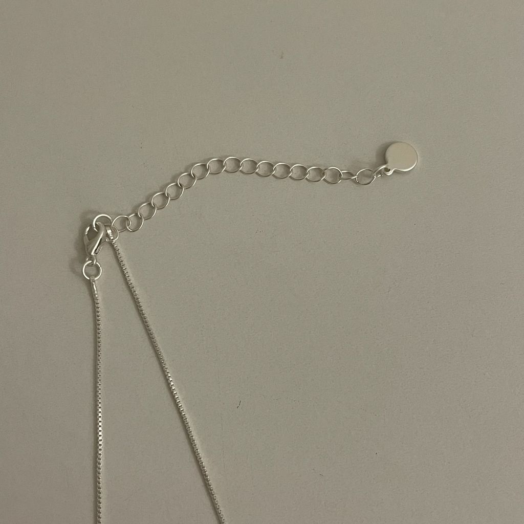 image_424181F1-2F96-4FC8-B1B9-65FD5BB3D968_1775100022