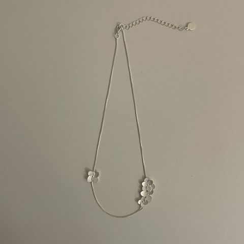 image_E41D0597-0448-4420-BA1A-4CDCACDEB955_1775100022