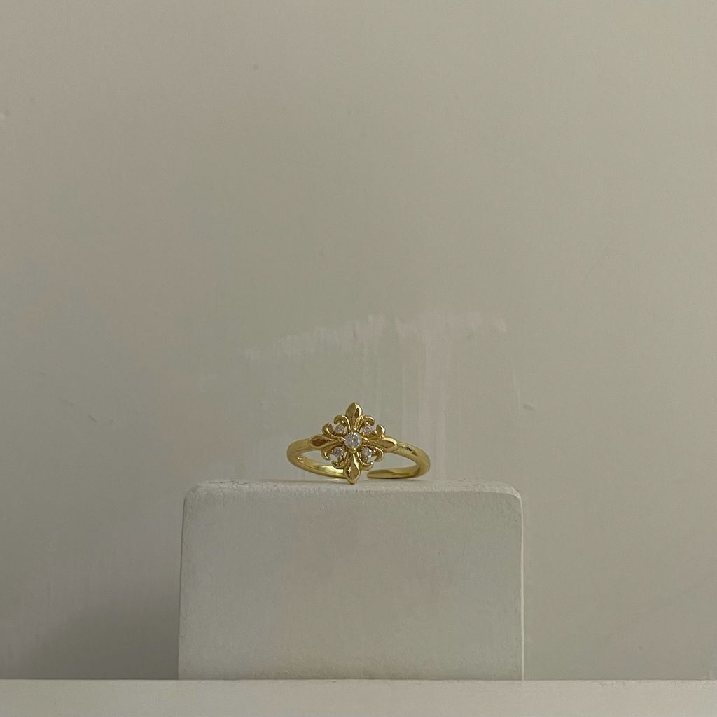 image_21125A70-12E5-428B-B836-3313DD528547_1776573731