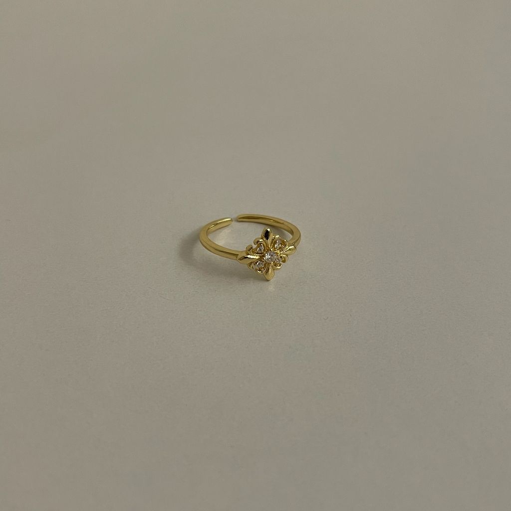 image_79455562-FD0D-488D-AB97-6AAF08DE1A0E_1776573731