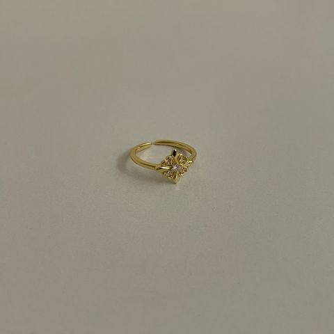 image_79455562-FD0D-488D-AB97-6AAF08DE1A0E_1776573731