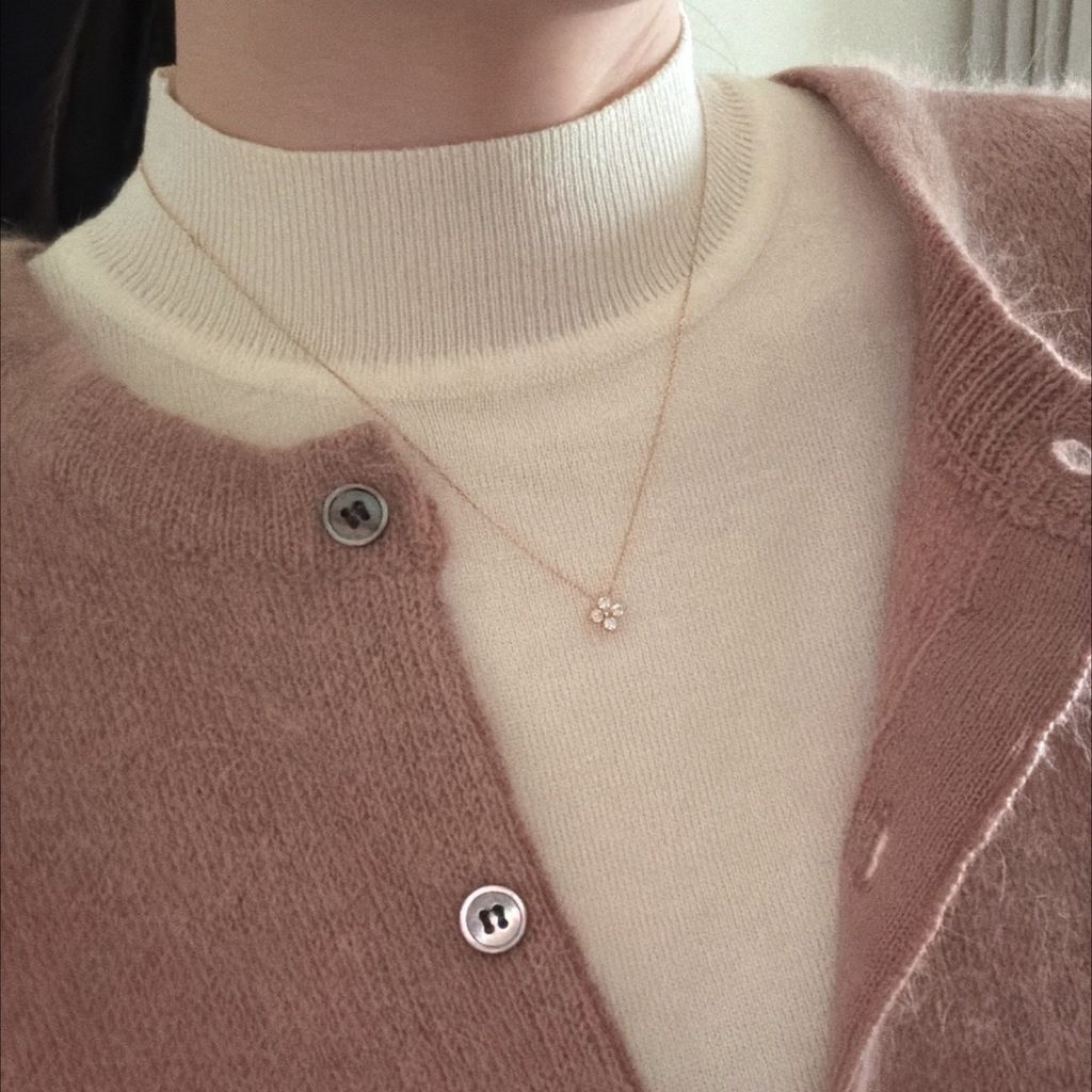 image_421C5243-0385-4ECE-B11B-E5A94FB40DFF_1768727931