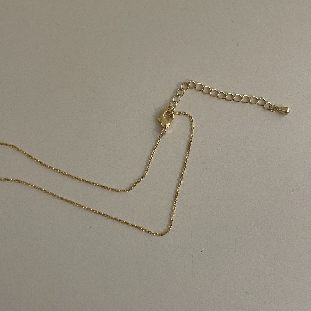 image_8045125A-196A-40CF-B733-DDE0F047B179_1771075210