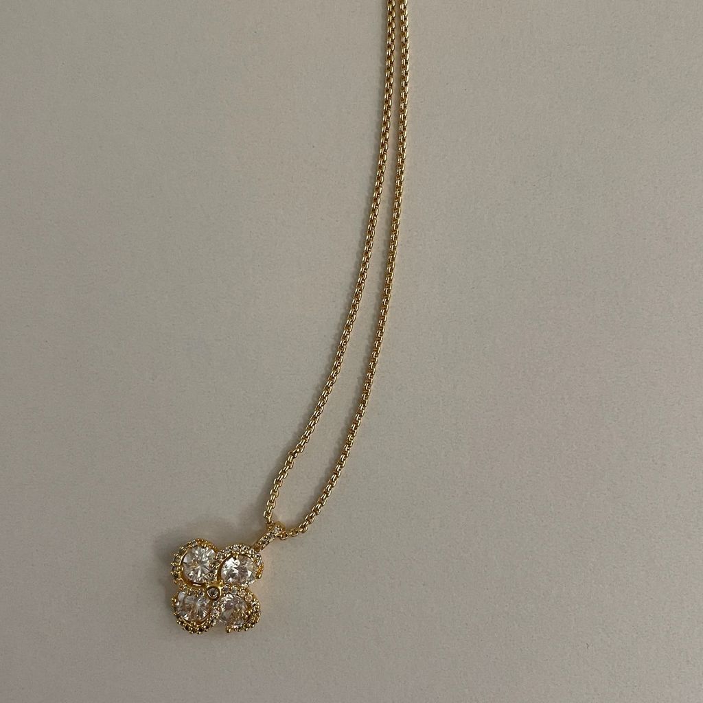 image_E9270A73-3E81-4967-9E1E-E706F362DA73_1771075246