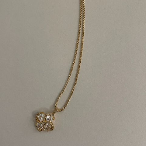 image_E9270A73-3E81-4967-9E1E-E706F362DA73_1771075246