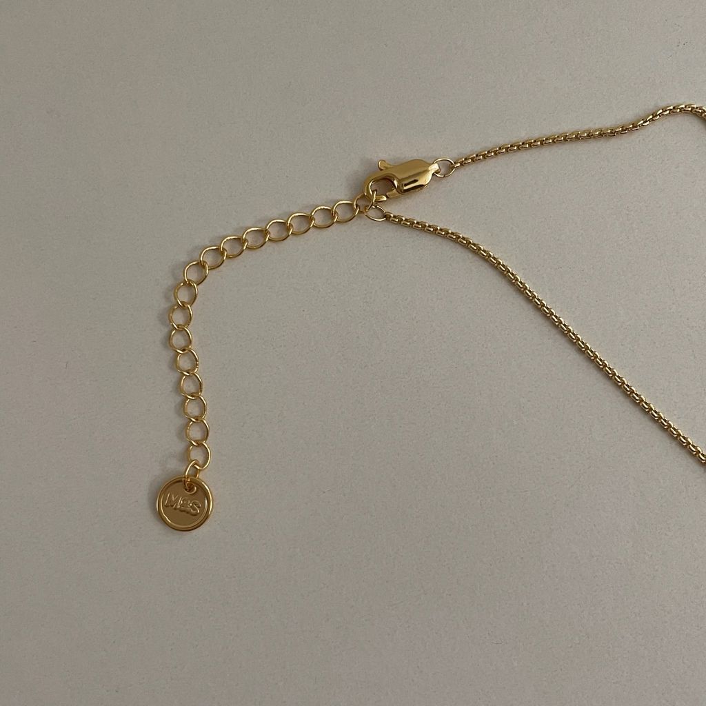 image_51D524DE-B34A-47F5-B6D9-BE620DE1E8C1_1771075246