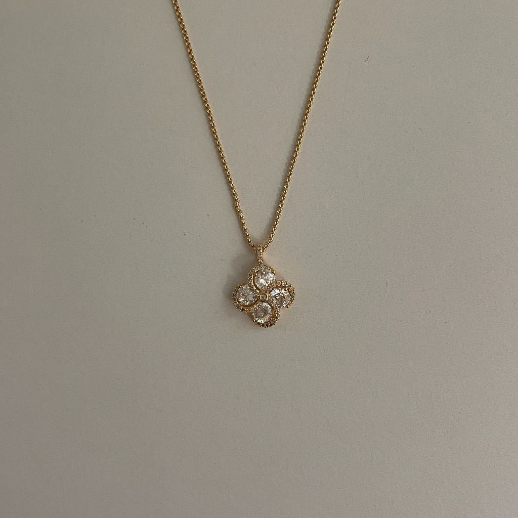 image_6D951609-86A5-4308-9444-8D156CF85A16_1771075246