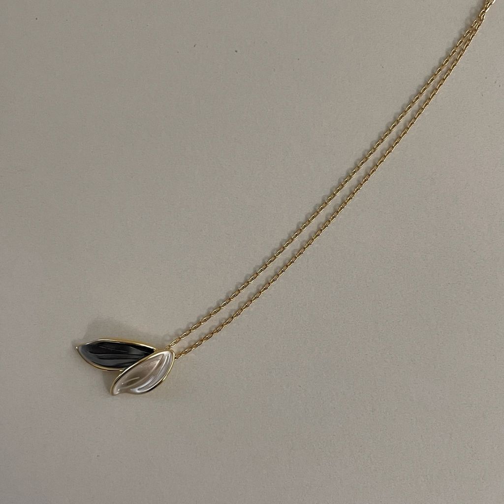 image_E7DBF5D5-D491-41D4-AA19-EFC5E23B4F32_1771075336