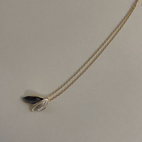 image_E7DBF5D5-D491-41D4-AA19-EFC5E23B4F32_1771075336