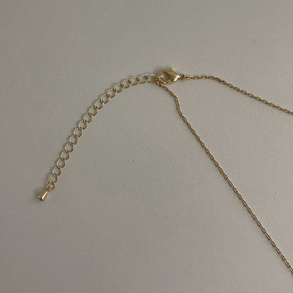 image_EEA912B3-4B57-4851-B535-0FD6A2C1FFA4_1771075336