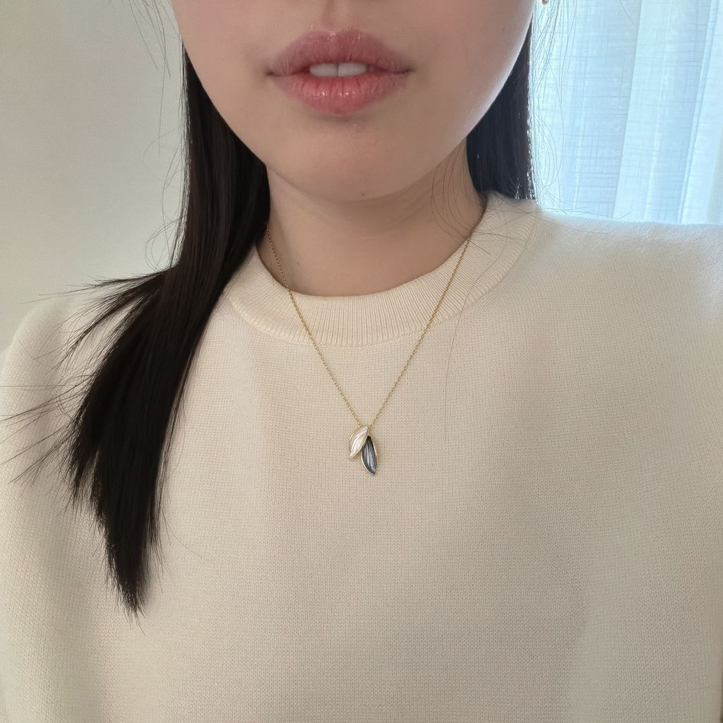 image_B765861A-A938-4B2B-94C4-6C90B1204601_1771934314