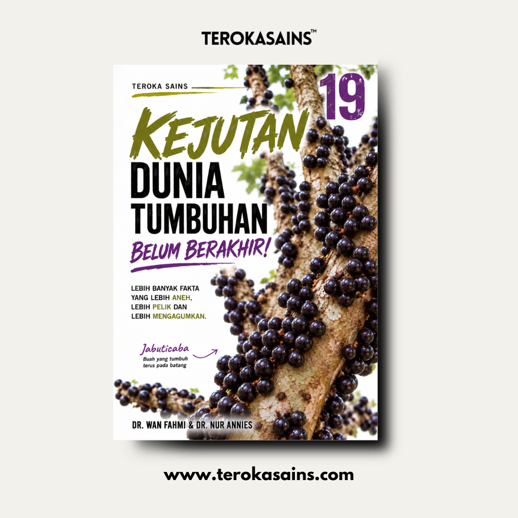 KATALOG TS & WOS