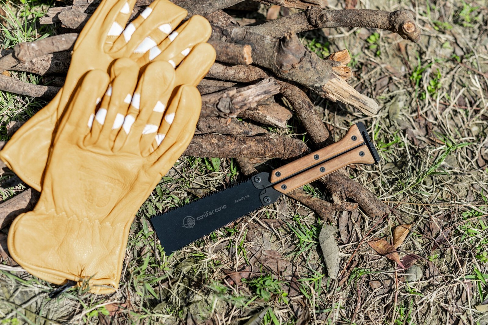 1600x6.jpg 1600x6.jpg