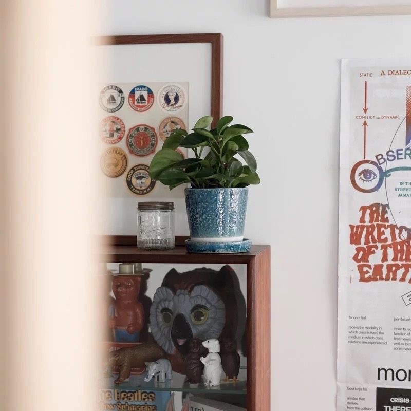 S__91078682.jpg S__91078682.jpg