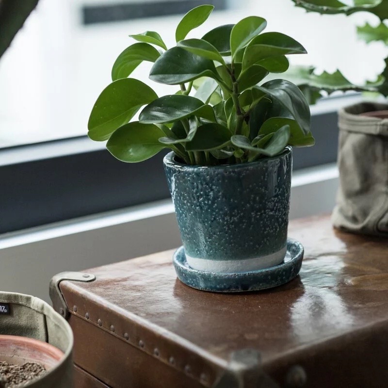 S__91078684.jpg S__91078684.jpg