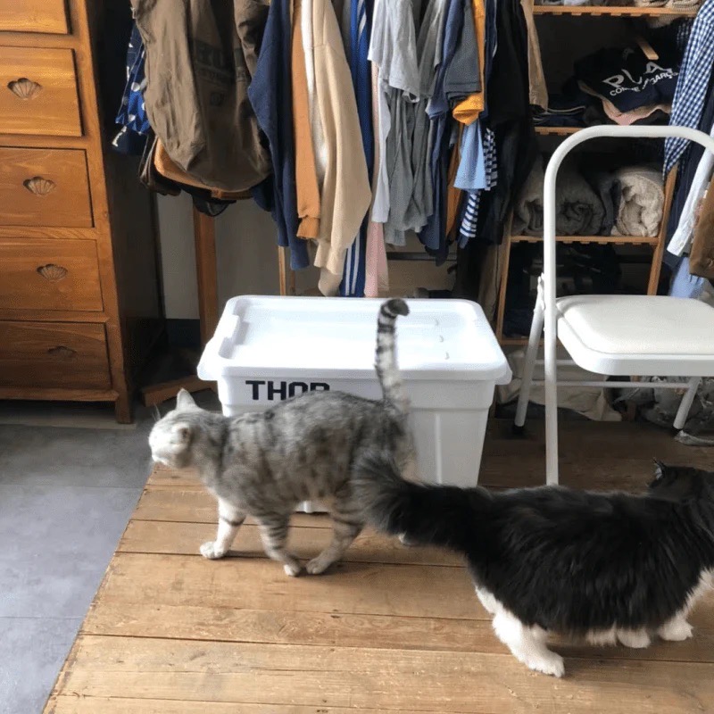 S__99360808.jpg S__99360808.jpg