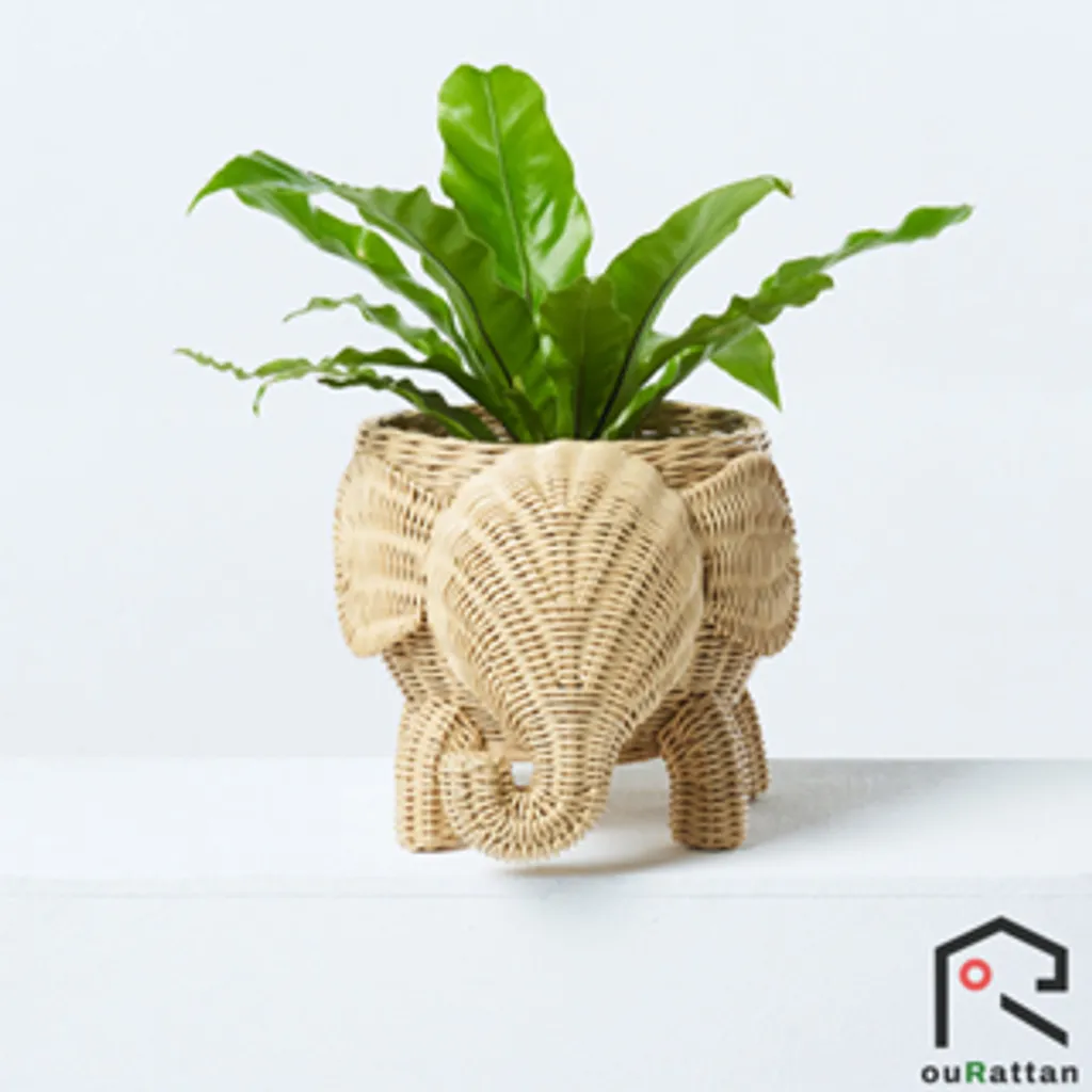 81dab598-d164-4f5b-a0b1-14ac3372cbbc