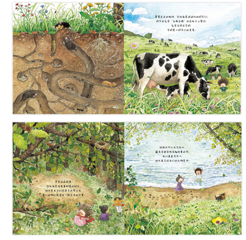 大自然的礼物 幼儿图画书 自然科学型探索绘本 – Little Winter Melon Bookstore