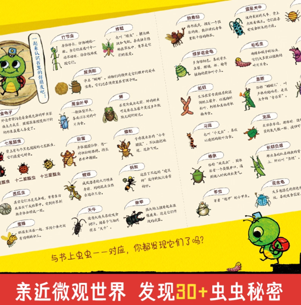 Screenshot 2025-10-31 084538