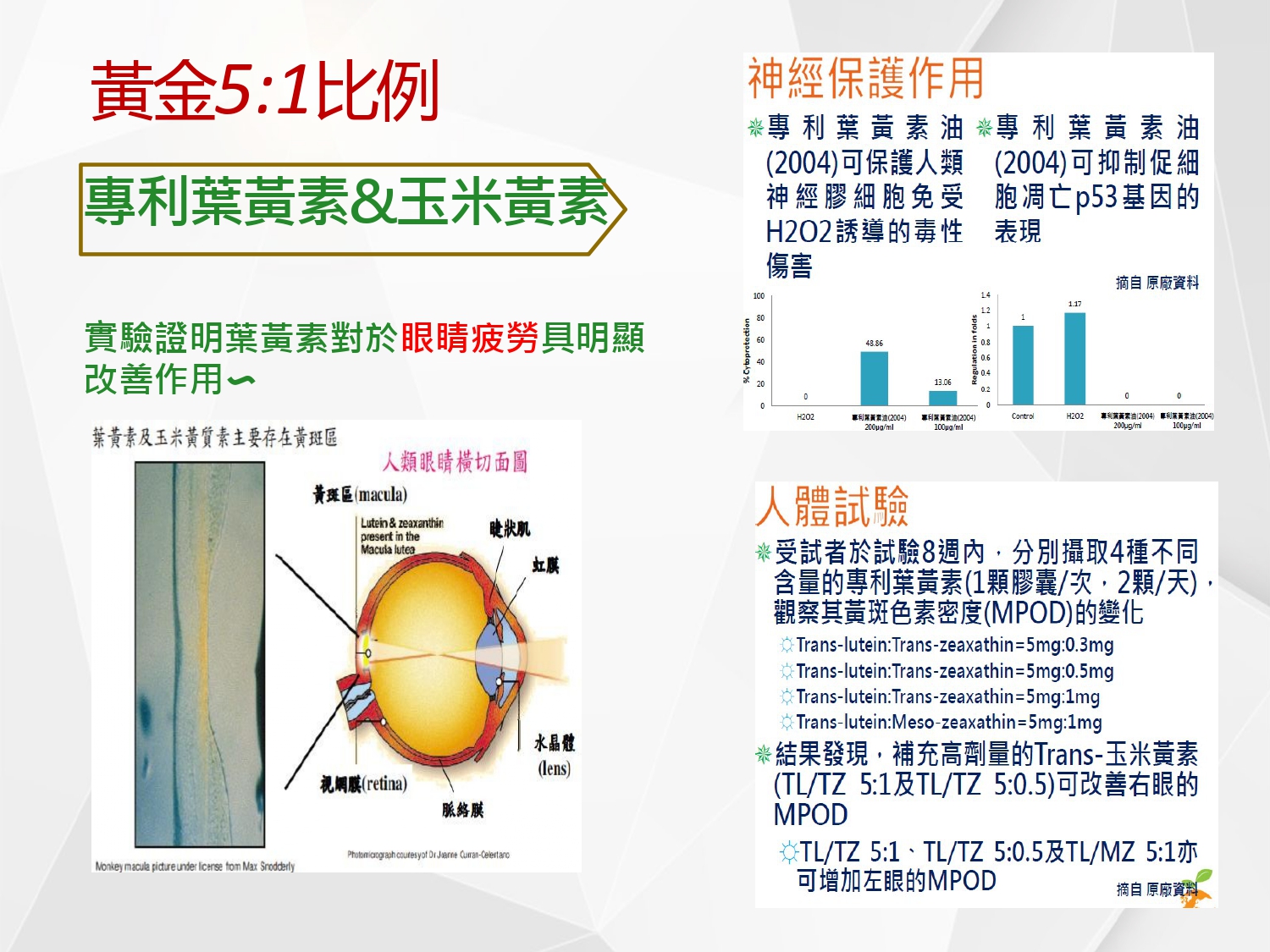 油離型葉黃素_01