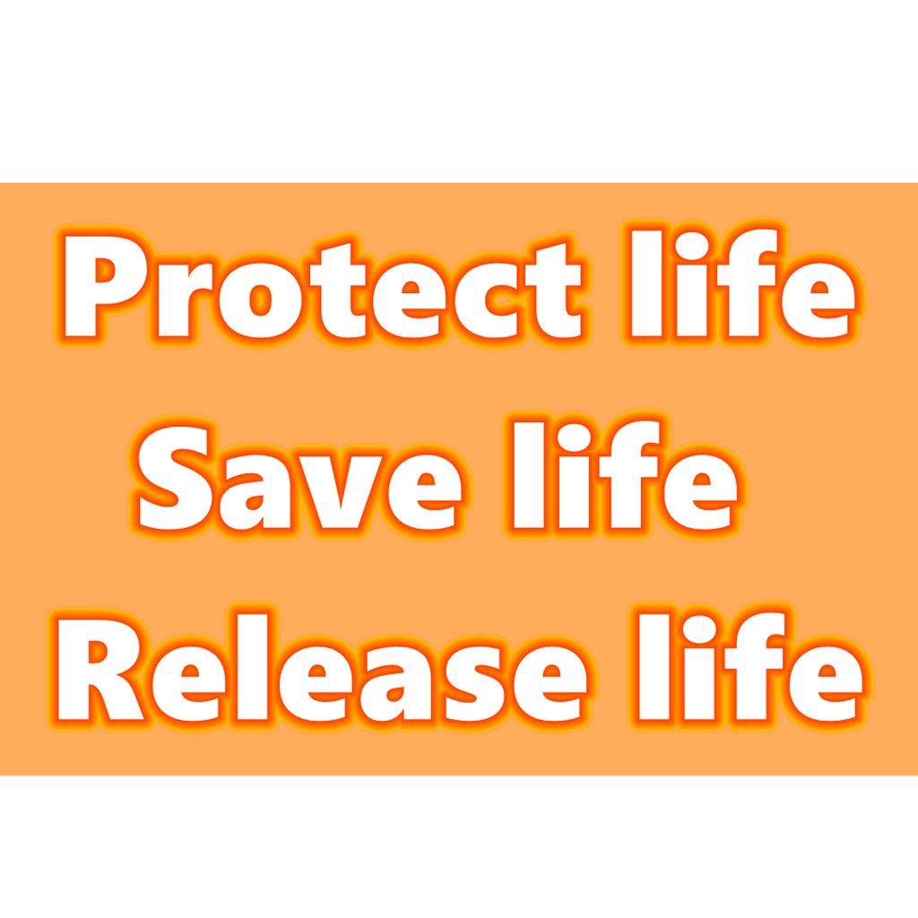 #Save life | #Protect life | #Release life | free captive animals