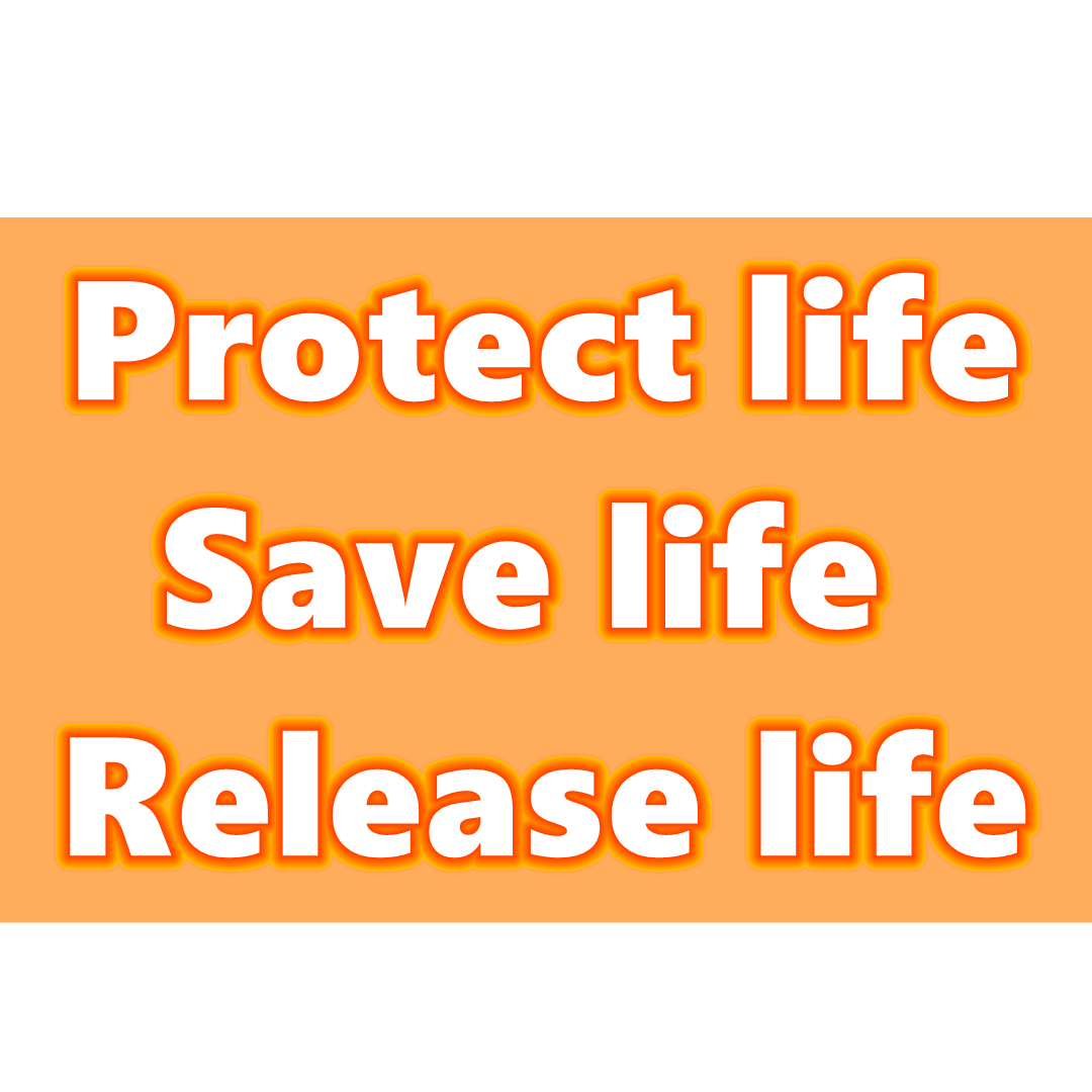 protect life release life.jpg