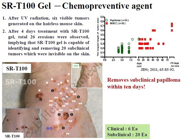 08_chemopreventive agent_04.jpg