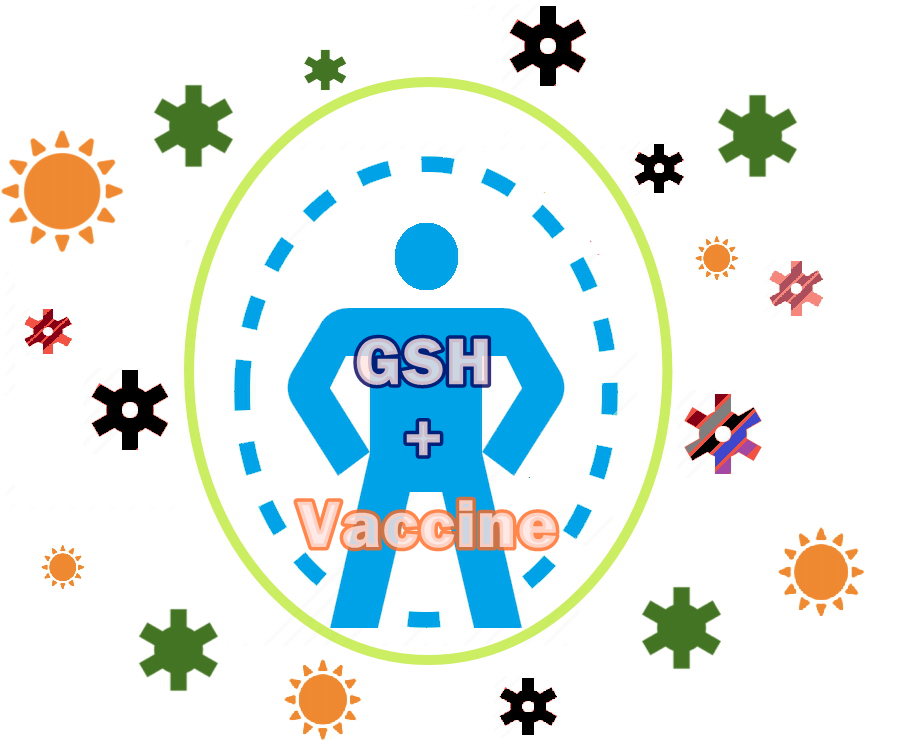 Vaccine + GSH.jpg