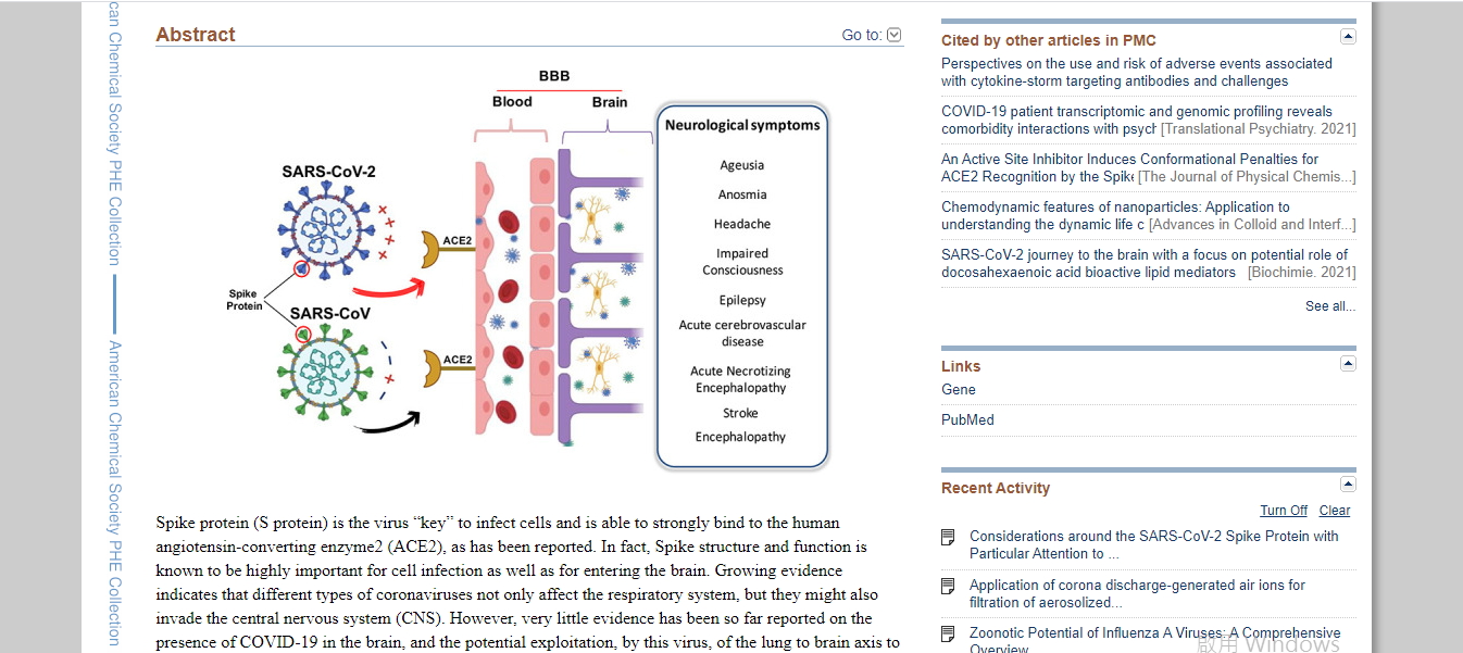 12_Considerations around the SARS-CoV-2 Spike Protein with Particular Attention to COVID-19 Brain Infection and Neurological Symptoms.jpg