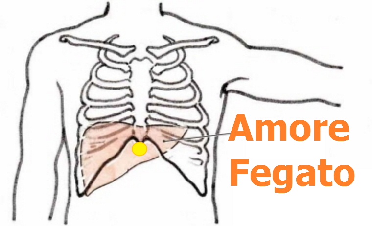 091_Amore fegato.jpg