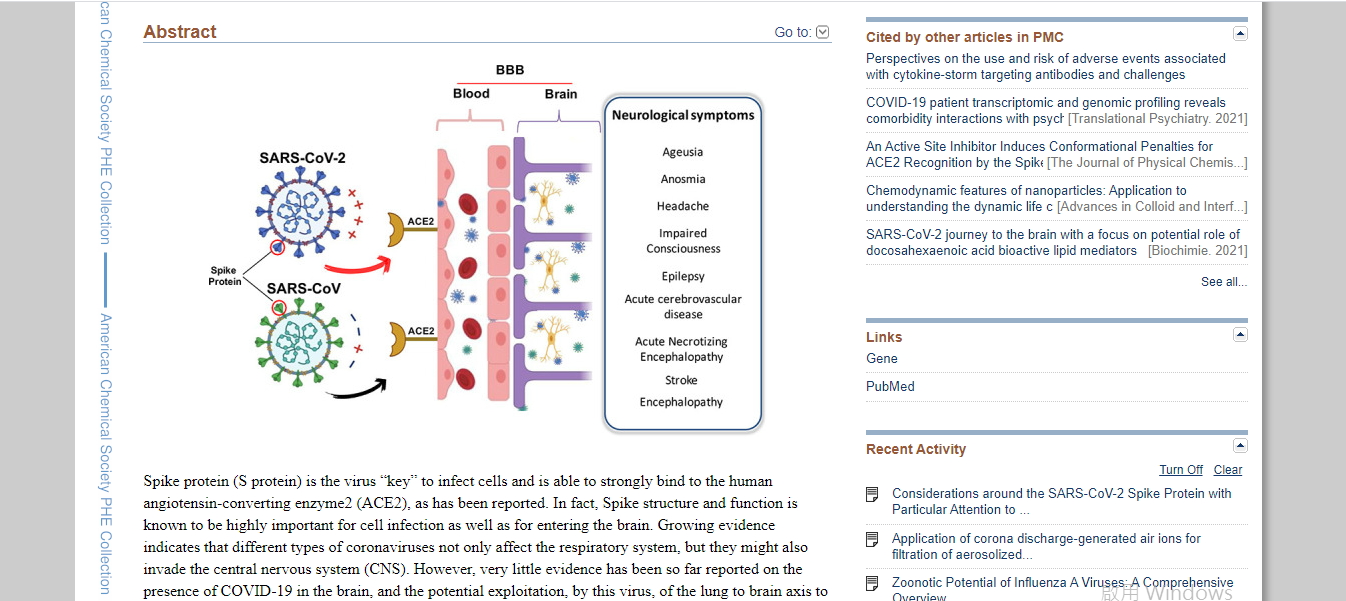 12_Hensyn rundt SARS-CoV-2 piggprotein med spesiell oppmerksomhet mot COVID-19 hjerneinfeksjon og nevrologiske symptomer.jpg