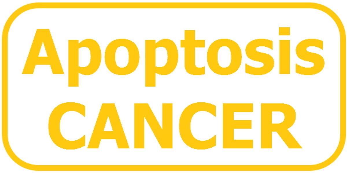 Cervical cancer | Where are the weaknesses of cancer cells? |  Increase survival rate. | Stage | Stage 0 | Stage 1 | Stage 2 | Stage 3 | Stage 4