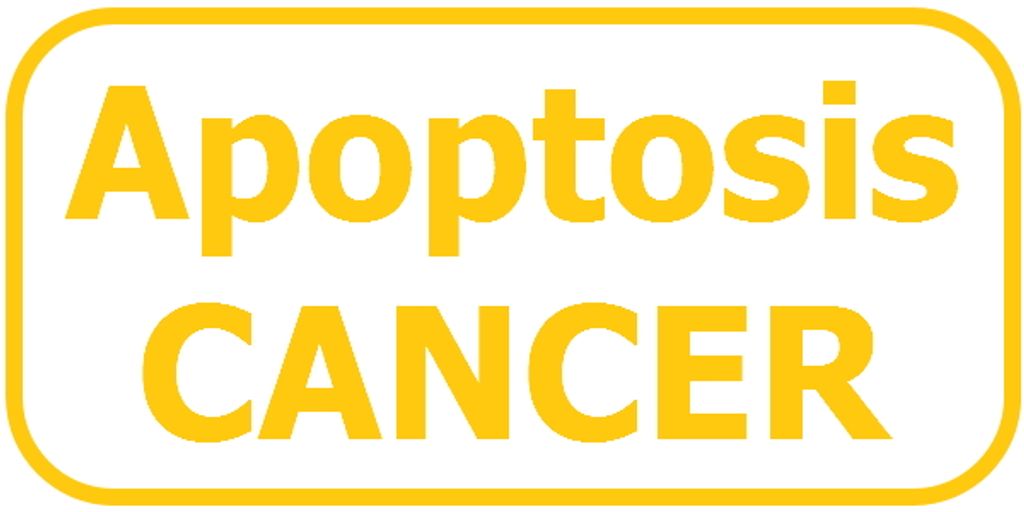 Retinoblastoma | Where are the weaknesses and symptoms of cancer cells? | Increase survival rate | Stage | Stage 0 | Stage 1 | Stage 2 | Stage 3 | Stage 4