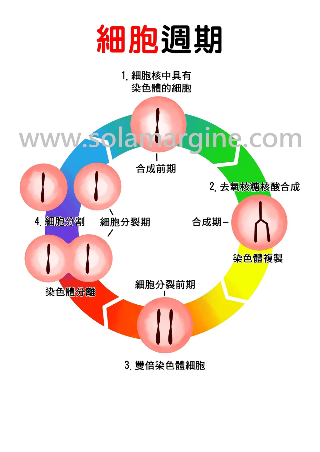 新时代的崛起植物药治疗癌症的新契机the Rise Of A New Era New Opportunities For Phytopharmaceutical Treatment Of Cancer 把癌分解了 The Cancer Disappeared 黄水茄 Solamargine Solamargine 新时代的崛起植物药治疗癌症的新契机the Rise Of A New Era New Opportunities For Phytopharmaceutical Treatment Of Cancer 把癌分解了 The Cancer Disappeared 黄水茄 Solamargine Solamargine