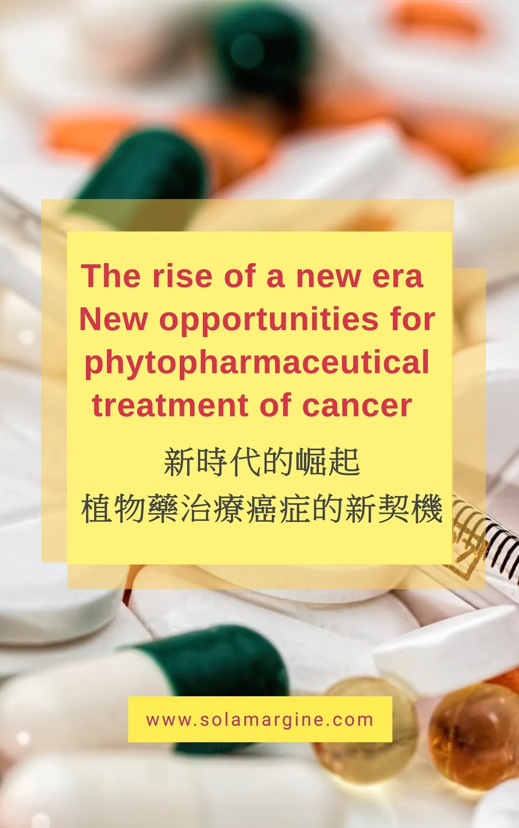 新时代的崛起植物药治疗癌症的新契机the Rise Of A New Era New Opportunities For Phytopharmaceutical Treatment Of Cancer 把癌分解了 The Cancer Disappeared 黄水茄 Solamargine Solamargine 新时代的崛起植物药治疗癌症的新契机the Rise Of A New Era New Opportunities For Phytopharmaceutical Treatment Of Cancer 把癌分解了 The Cancer Disappeared 黄水茄 Solamargine Solamargine