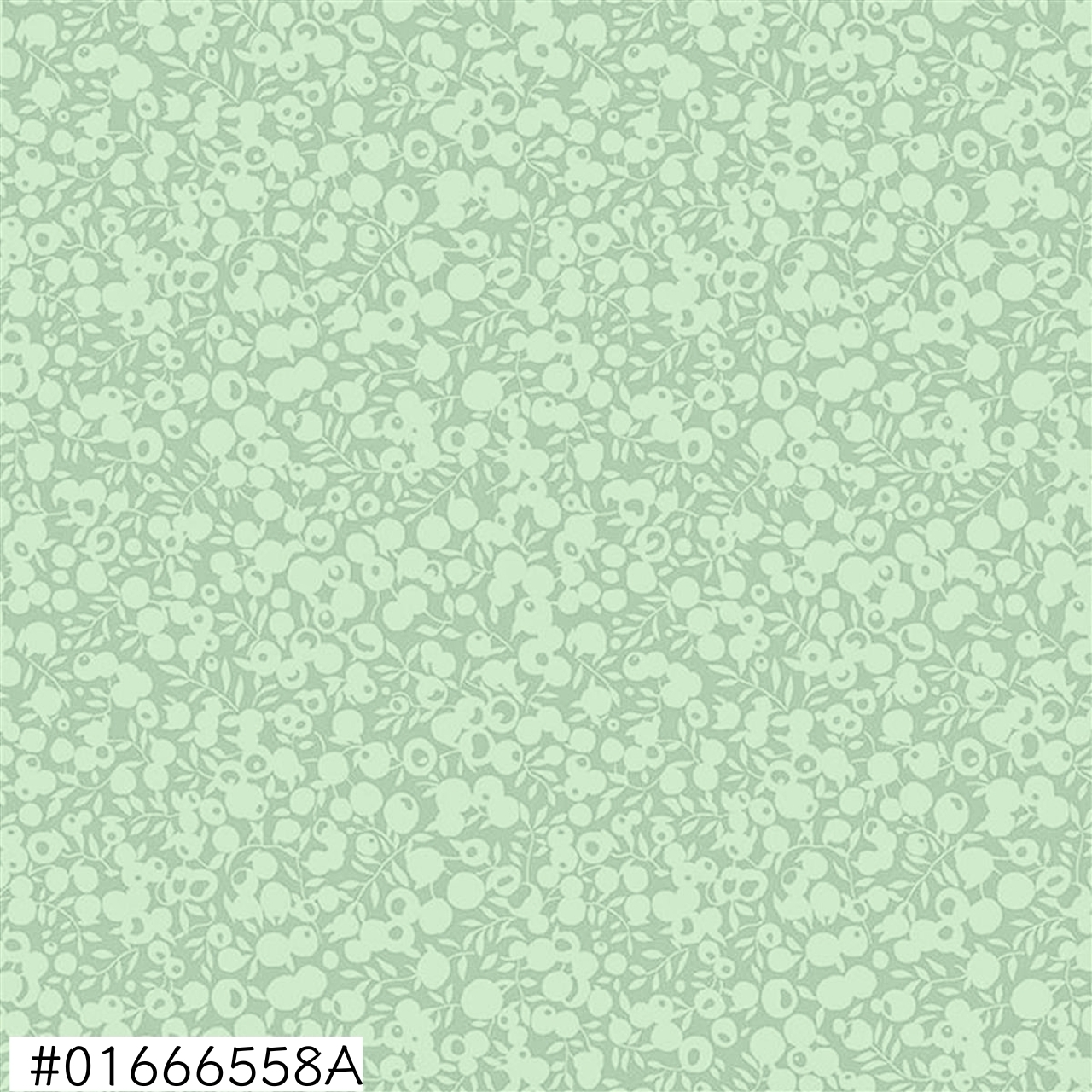 01666558A