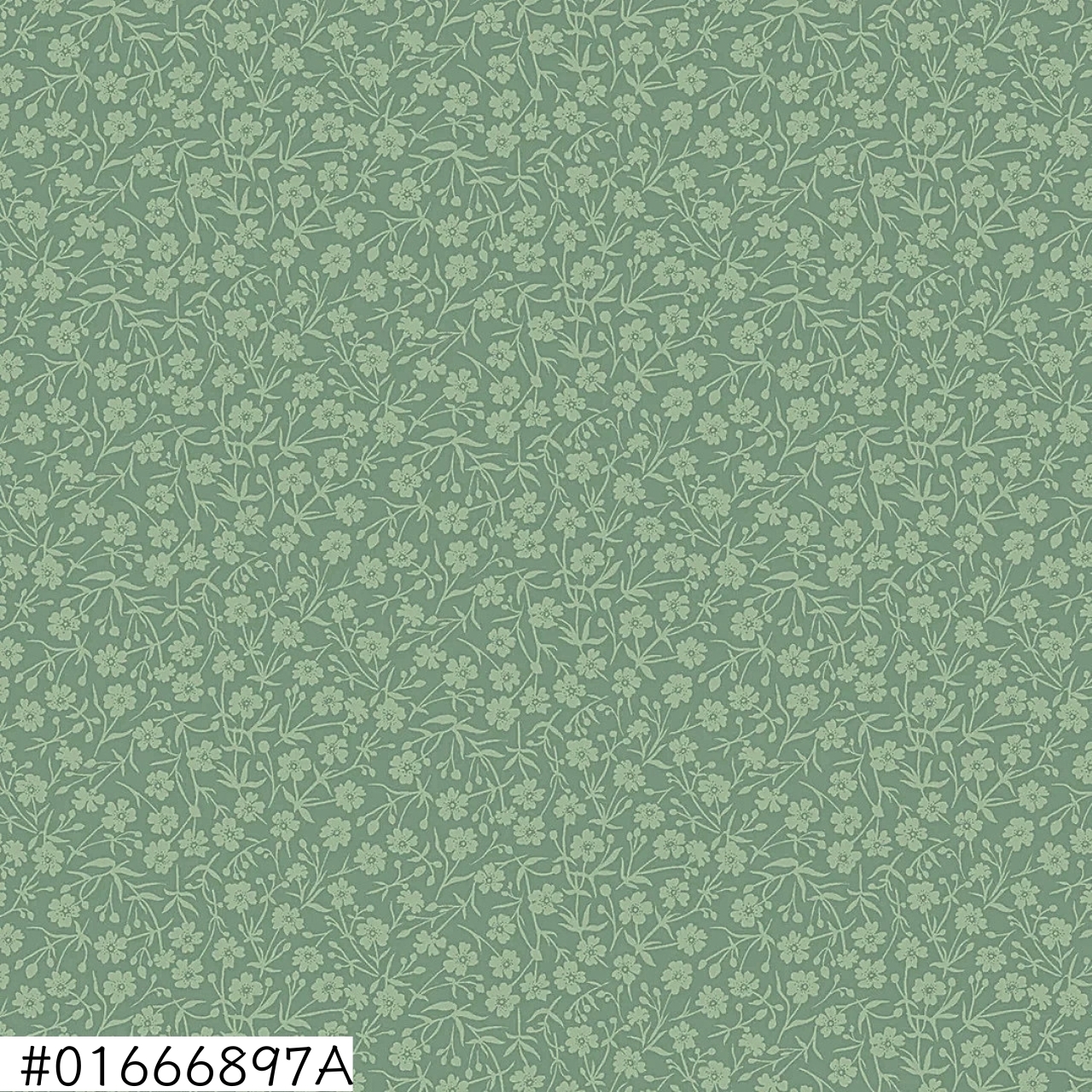 01666897A
