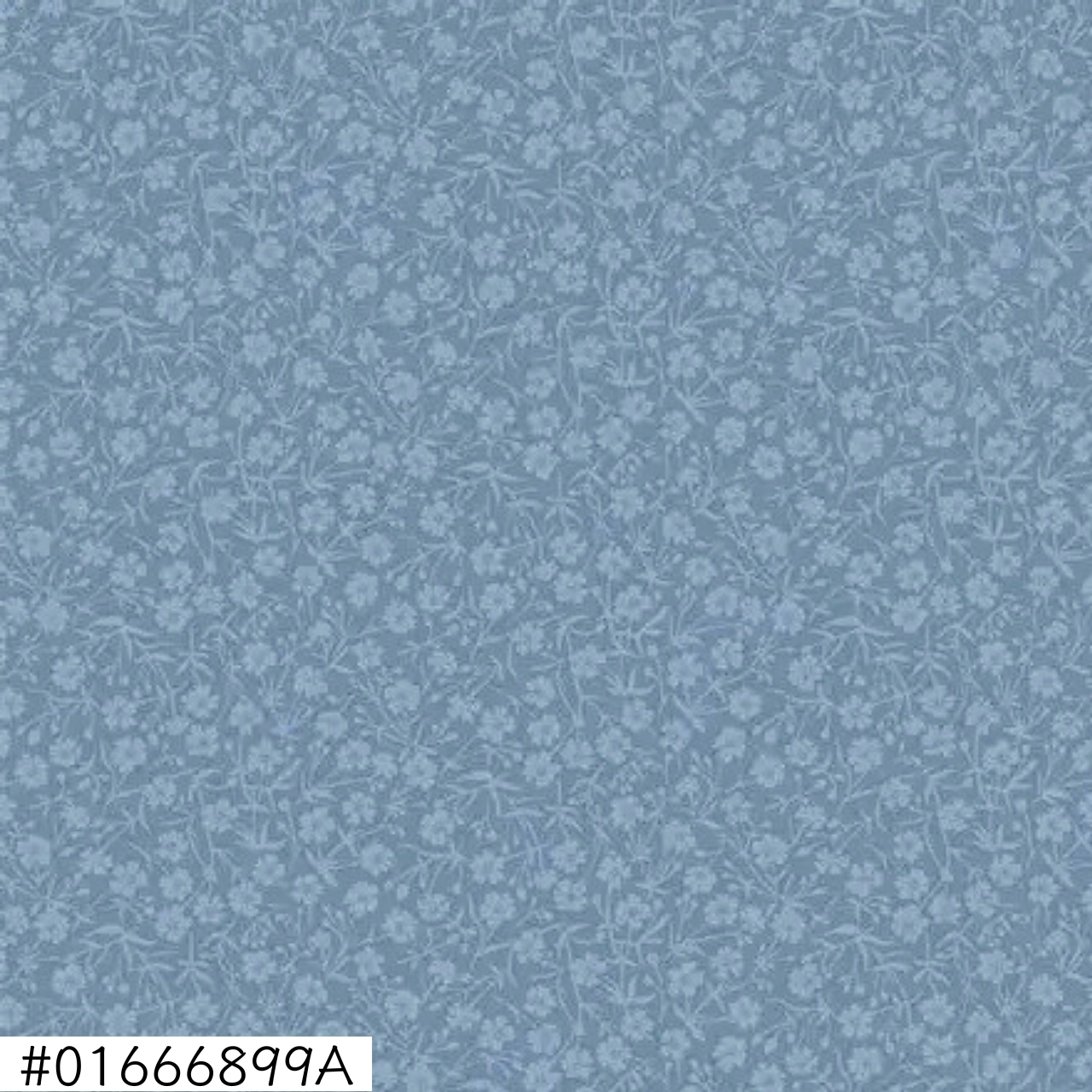 01666899A 
